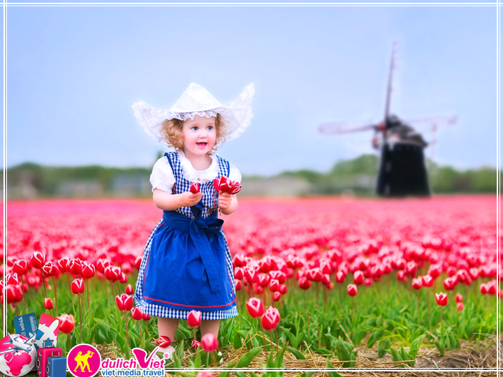Du lịch Châu Âu 9 ngày Pháp Bỉ Hà Lan Đức lễ hội hoa Tulip 2017